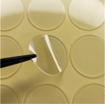 Round clear PYBLab sticky pad lifted from its liner with tweezers