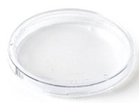 Transparent petri dish