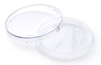 Transparent petri dish with its lid open