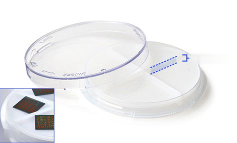 Partition inserted back side up in a transparent petri dish, giving shallow 2.8 mm pockets, with an inset photo of flat dies stored inside