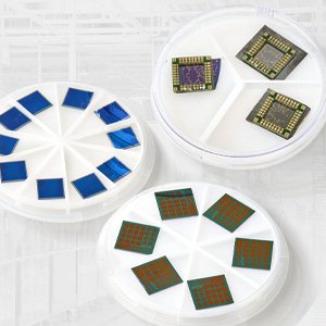 Petri dishes with partitions keeping semiconductor chips and dies separated